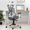 Office Chair,High Back Mesh Ergonomic Home Office Desk Chair with 3 Years Warranty, Adjustable Armrests, Adjustable Lumbar Support,Tilt Lock Mechanism (Grey)