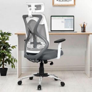 Office Chair, High Back Mesh Ergonomic Home Office Desk Chair with 3 Years Warranty, Adjustable Armrests, Adjustable Lumbar Support, Tilt Lock Mechanism (Grey)